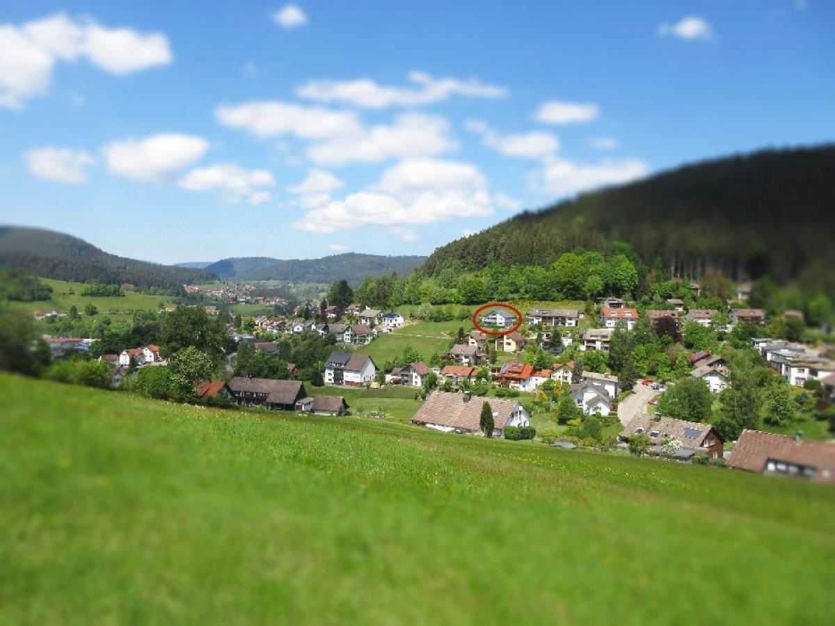 Schoene Zeiten Ferienwohnung Baiersbronn Extérieur photo